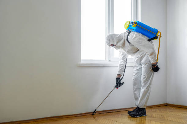 Emergency Pest Control Services in Oceana, WV